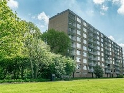 Appartement te huur in Leiden