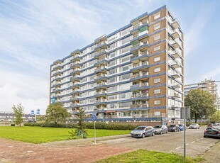 Jan Dammassestraat 80, Rotterdam