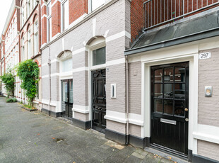 Newtonstraat 297