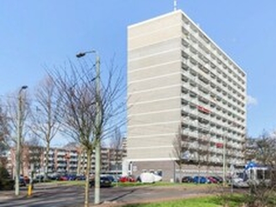 Appartement te huur in Den Haag