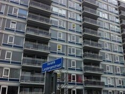 Appartement te huur in Rotterdam