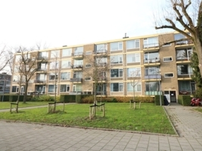 Appartement te huur in Rotterdam