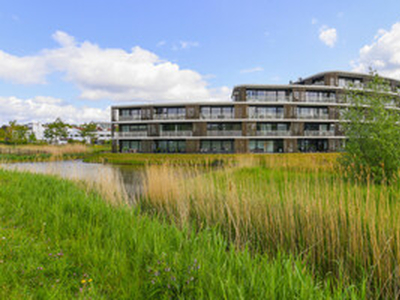 Te huur in Bergen op Zoom