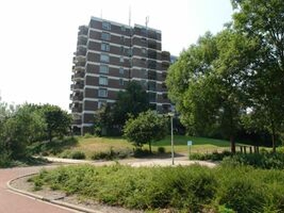 Tussenverdieping (appartement) te huur in Diemen