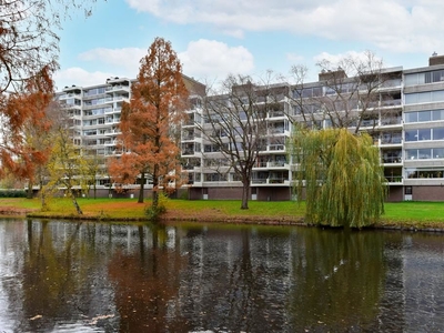 Veenbesstraat 288 *