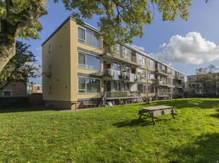 Gijsbert Steenhoekstraat 29, Rotterdam