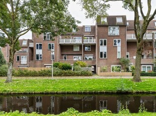 Goudmos 146, Nieuwerkerk aan den IJssel