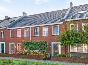 Kamgras 35, Meppel