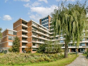 Papiermolen 112, Leiden