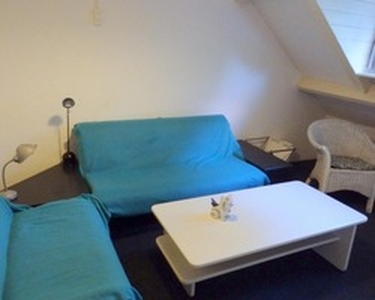 Apartment te huur in Haarlem