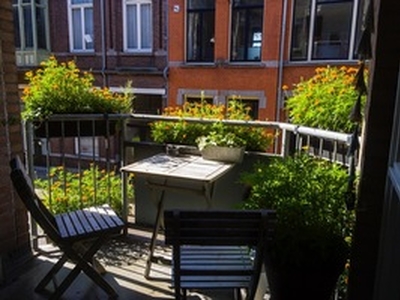 Apartment te huur in Tilburg