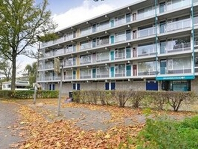 Appartement te huur in Haarlem