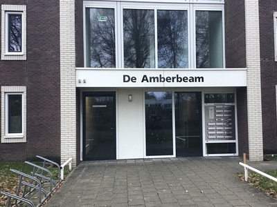 De Amberbeam 20