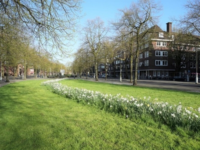 Apollolaan in Amsterdam (130m2)