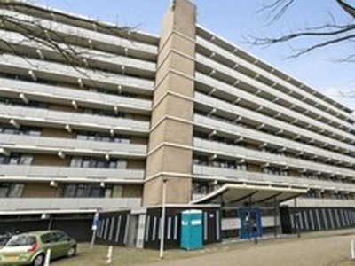 Appartement te huur in Leiden