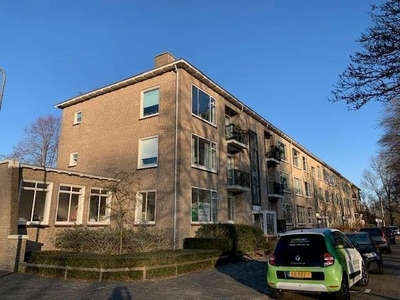 Boeimeerlaan in Breda (110m2)