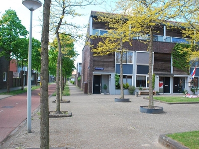 Liedekerkeplantsoen 24