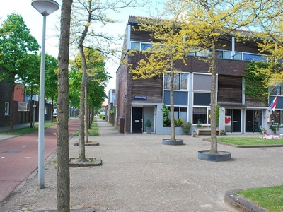 Liedekerkeplantsoen in Amsterdam (120m2)