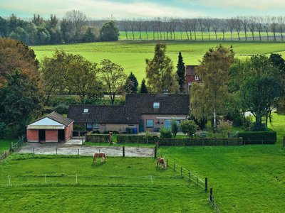 Liniedijk 3