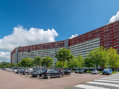 Perim in Zaandam (90m2)