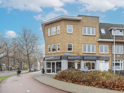 Pieter Nieuwlandstraat in Utrecht (122m2)