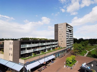 Rio de Janeiroplein in Almere (135m2)