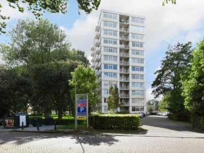 Tarwekamp in 's-Gravenhage (85m2)