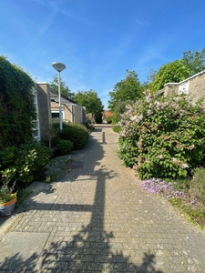 Ukkelhof in Amsterdam (118m2)