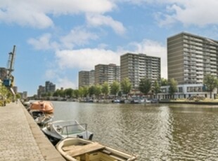 Huurwoning te huur in Den Haag