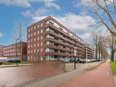 Johan Hofmanstraat 309 +PP