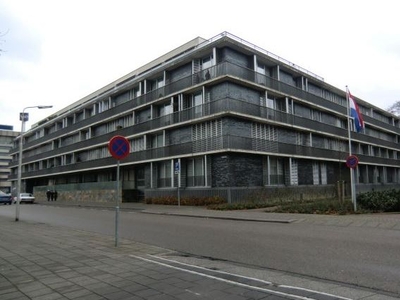 Stadstuinen 31