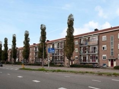 Willem de Zwijgerlaan in Alphen aan den Rijn (60m2)