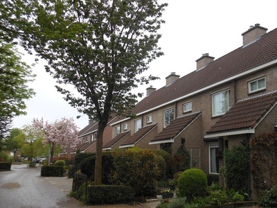 Zilverschoon in Nijverdal (125m2)