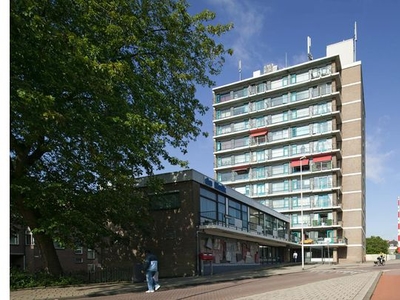 Huur 1 slaapkamer appartement van 50 m² in Rotterdam