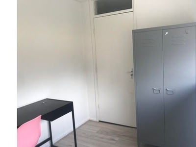 Huur 1 slaapkamer appartement van 7 m² in Sittard