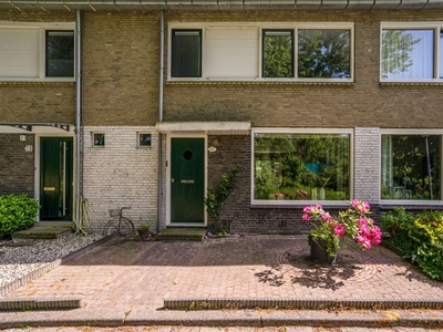 Ranonkelstraat 37