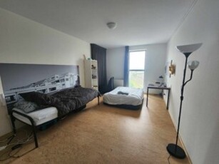 Apartment te huur in Den Bosch