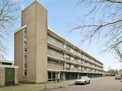 Appartement te huur in Arnhem