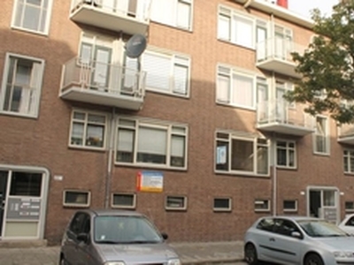 Appartement te huur in Rotterdam