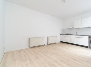 Appartement in Leiden met 2 kamers