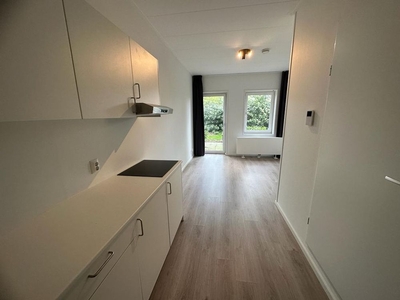 Flintstraat in Emmen (20m2)