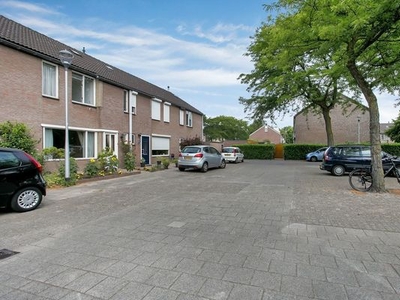 Studio Alpenwoud in Tilburg