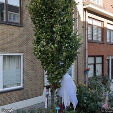 Appartement in Vlaardingen met 2 kamers