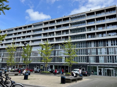 Professor de Moorplein 495