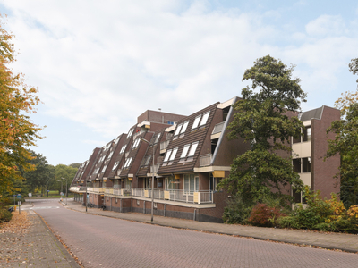 Appartement in Sliedrecht met 2 kamers