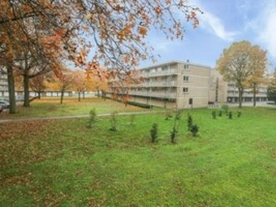 Appartement te huur in Nijmegen