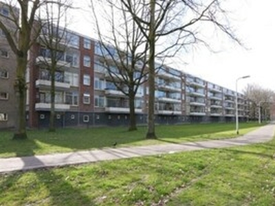 Appartement te huur in Tilburg