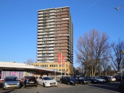 Croesinckplein in Zoetermeer (55m2)