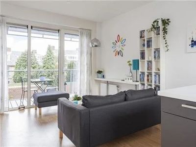 Appartement te huur Reinaldstraat, Arnhem