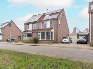 Cypres 70, Hoorn